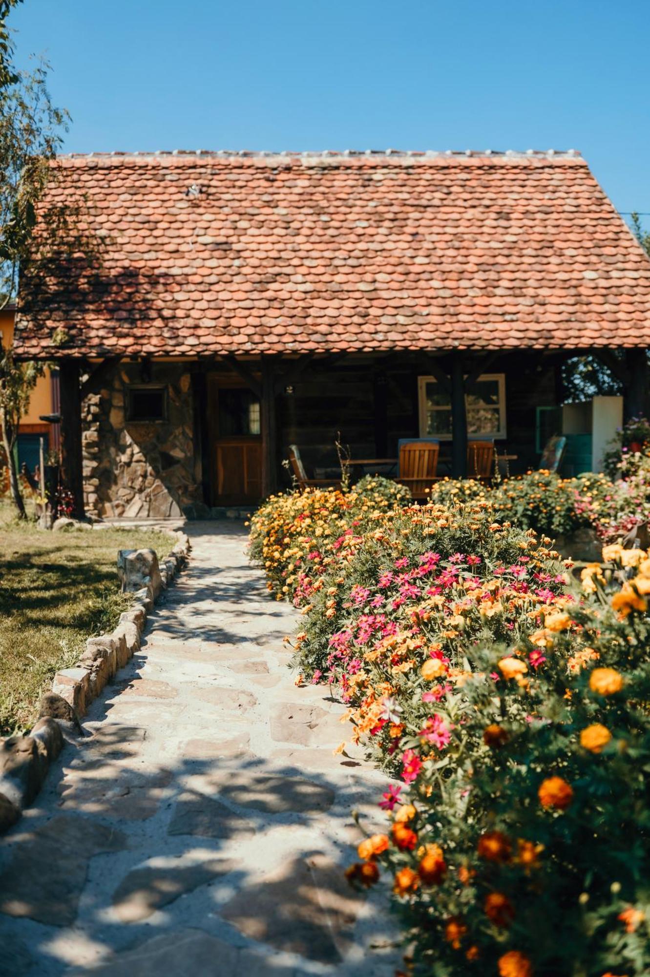 Magaze De Luxe Vila Gradacac Exterior foto