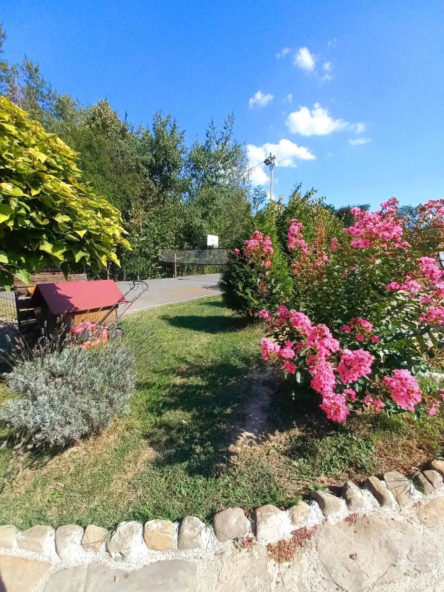Magaze De Luxe Vila Gradacac Exterior foto